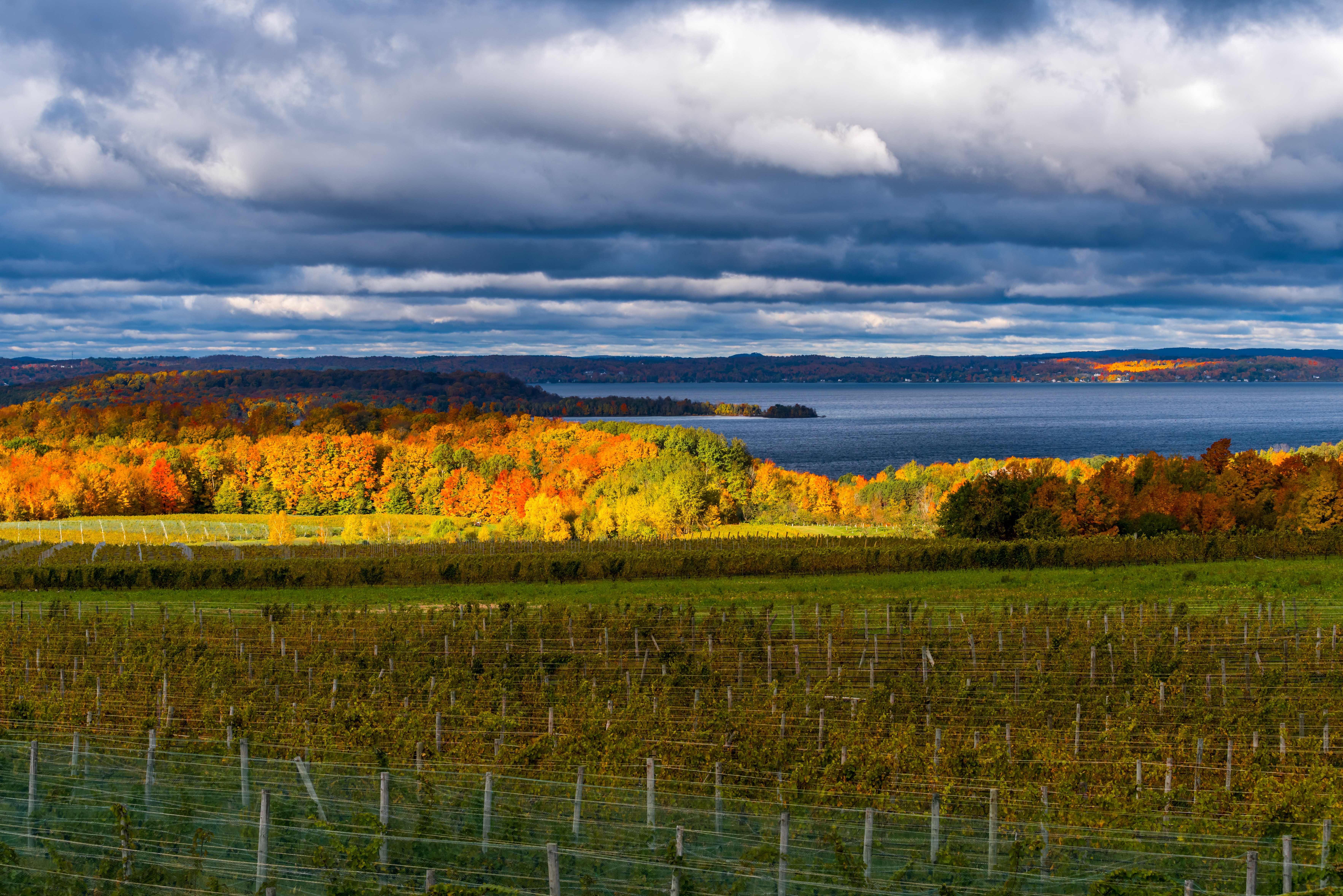 Fall Trees with the lake in the background under sunny skies
