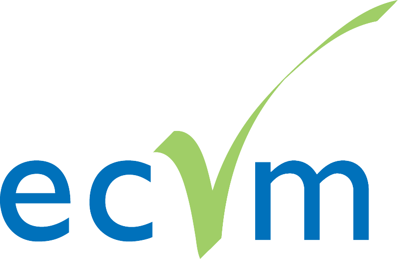 vinylplus logo