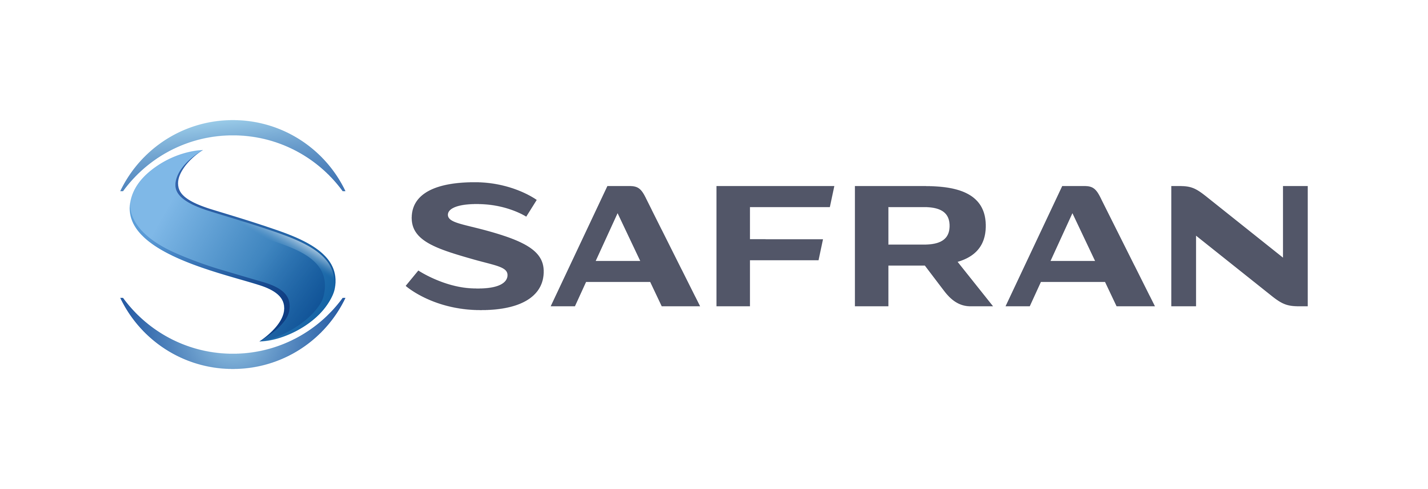 safrandatasystems logo