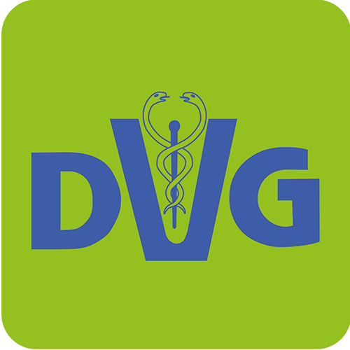 DVG-Service-GmbH logo