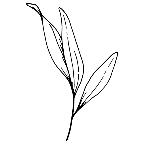 HOPE logo